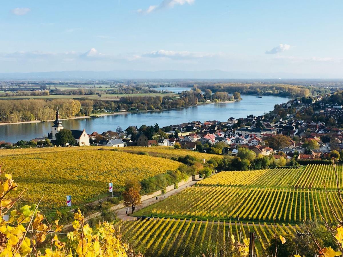 Rhein-Hotel Nierstein Exteriér fotografie